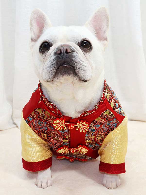 GMTPET French New Year's clothing New Year's clothing Tang suit Chinese style short body fat bulldog Chinese style dog clothes pet coat 107-222011 - Buy Adjustable Dog Pants,French Dog Pants,French Fighting Clothes Fat Dog Pug Adjustable Dog Pants Product on gmtshop.com