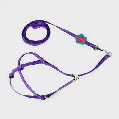 06-0258 Pet collars leashes bandana: pet supplies oem custom collar bling dog collar