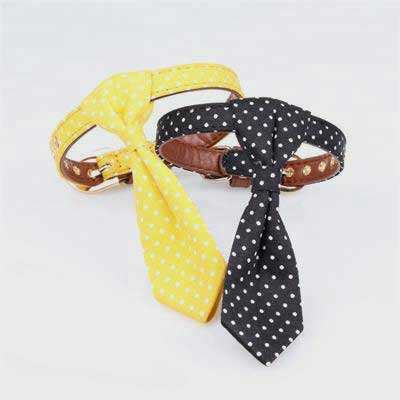 Multicolor Pet Collar: Good Quality Dog Collar 06-0612 Dog Collars bling dog collar