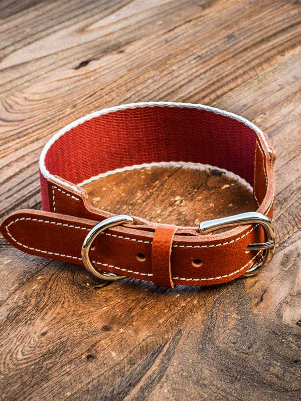 Wholesale Pet supplies woven cowhide collar for walking the dog adjustable belt loop buckle small and medium-sized dog collar 06-0548 Pet collars leashes bandana: pet supplies oem custom collar bling dog collar