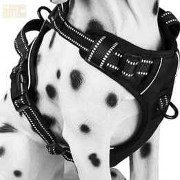 Pet Factory wholesale Amazon Ebay Wish hot large mesh dog harness 109-0001 gmtpet.com