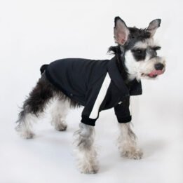 Sport Pet Clothes Custom Fashion Dog BomberJacket Blank Dog Clothes gmtpet.com