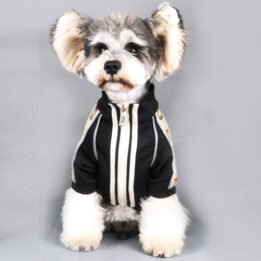 2020 Dog Coat Spring Autumn Pet Clothing Small Designer Dog Clothes gmtpet.com