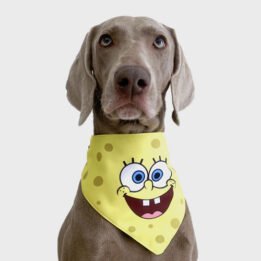 New Product Yellow Cartoon Cute Duck triangle scarf Pet Saliva Towel gmtpet.com