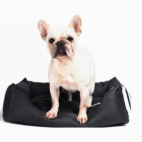 Factory Supply Wholesale Luxury Pet Bed Soft Square Elegant Noble Series Dog Bed Dog Bag & Mat