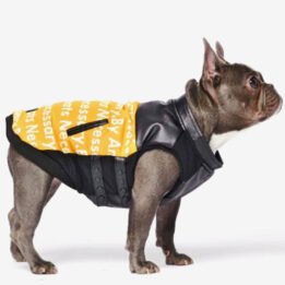 Pet Dog Clothes Vest Padded Dog Jacket Cotton Clothing for Winter gmtpet.com