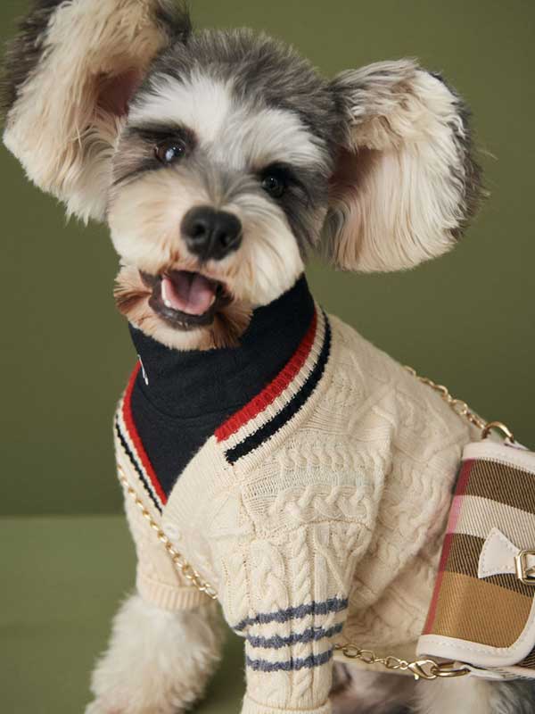 Designer Dog Clothes Wholesale Knitted Cardigan Pet Clothes Korea 06-1560 Pet Apparel: Puppy Sweaters & Dog Clothes 06-1560