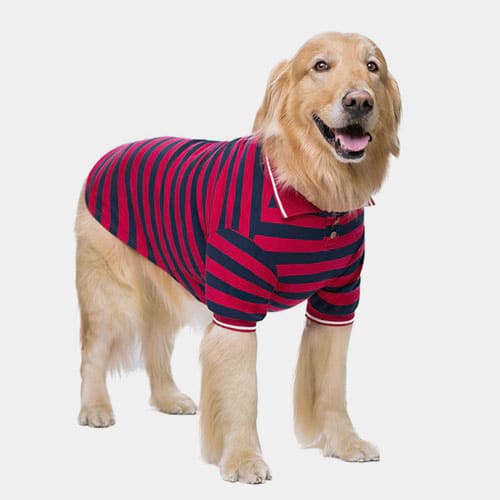 Pet Clothes Thin Striped POLO Shirt Two-legged Summer Clothes 06-1011-1 Pet Apparel: Puppy Sweaters & Dog Clothes 06-1011-1