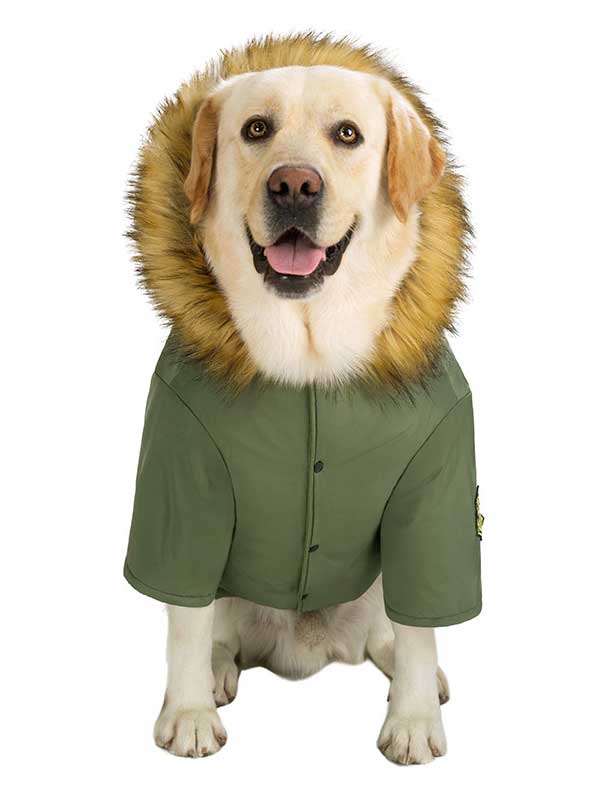 GMTPET Outdoor Pet Sport Style Dog Luxury Clothes Winter Pet Dog Clothes Super Warm Jacket 06-1013 Dog Clothes: Shirts, Sweaters & Jackets Apparel 06-1013-1