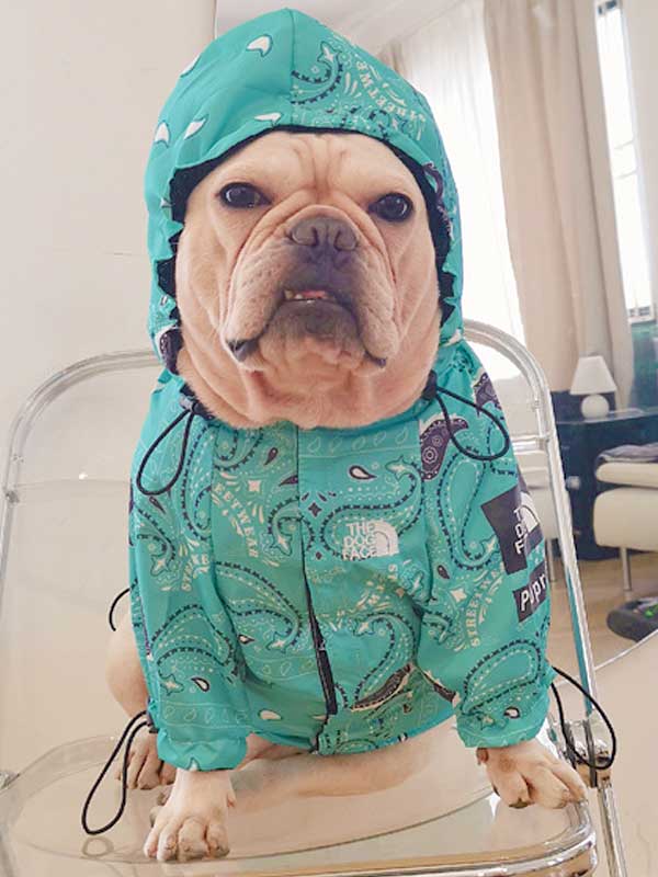 Fashionable Winter Sport Pet Clothes Polyester Waterproof Jackets Raincoats Windproof and Rainproof 06-0221 Dog Clothes: Shirts, Sweaters & Jackets Apparel 06-0221