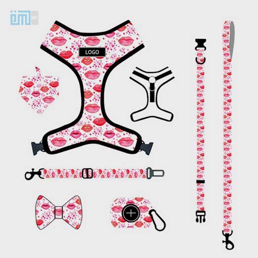 Pet harness factory new dog leash vest-style printed dog harness set small and medium-sized dog leash 109-0016 Dog Harness: Collar & Pet Harness Factory 109-0016