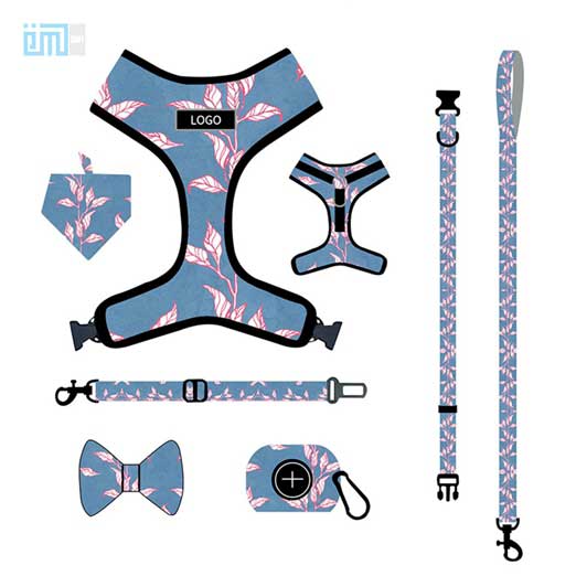 Pet harness factory new dog leash vest-style printed dog harness set small and medium-sized dog leash 109-0019 Dog Harness: Collar & Pet Harness Factory 109-0019