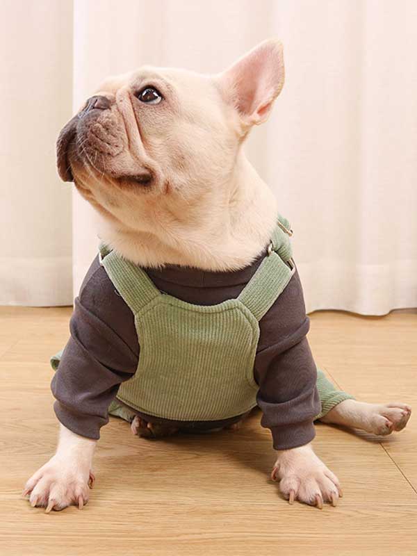 GMTPET French fighting clothes high elastic comfortable solid color plus velvet thick bottoming shirt T-shirt bulldog dog clothes 107-222016 gmtpet.com