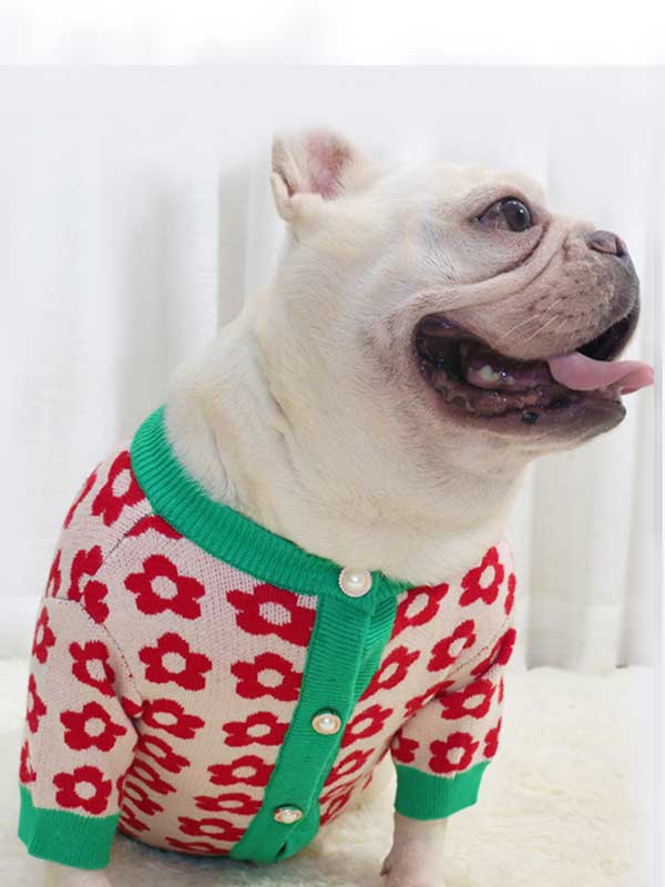GMTPET French Dou Autumn Sweater New Autumn and Winter Dog Clothes Bulldog Sweater Flower Cardigan Button Cartoon Short Body Fat Dog Sweater 107-222033 Dog Clothes: Shirts, Sweaters & Jackets Apparel 107-222033