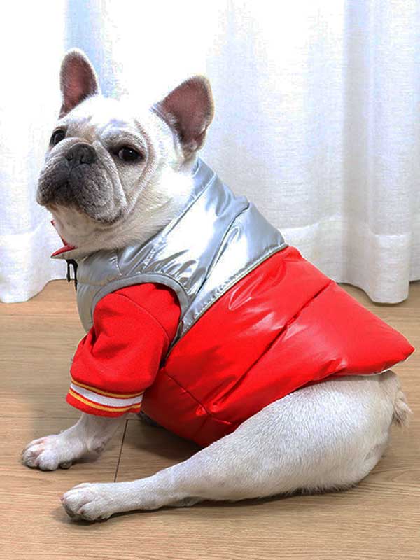 GMTPET White duck down filling pug dog clothes fat dog winter clothes thickened winter dog clothes warm method bucket cotton coat down jacket 107-222035 Dog Clothes: Shirts, Sweaters & Jackets Apparel 107-222035