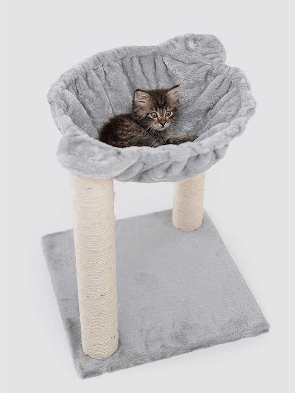 Factory Wholesale Cat Climbing Frame Cat Nest Sisal Cat Trees