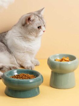Tigela de cerâmica para gato tigela para comida de gato tigela para beber cachorro 123-12011 gmtpet.com