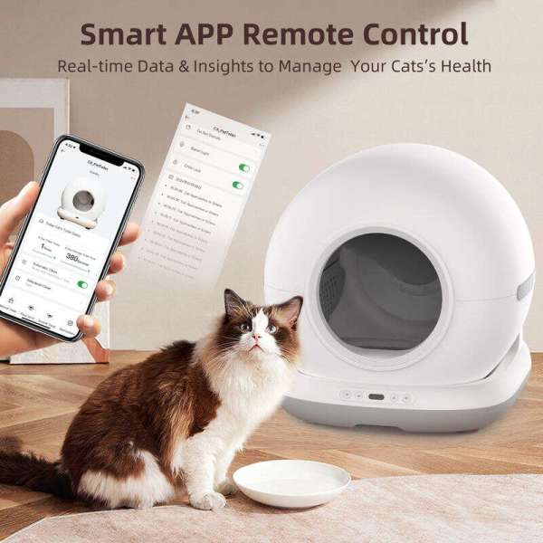 Smart Cat litter box, Cat Litter Box, Cat Litter Box & Accessories, Cat Litter Box And Accessories