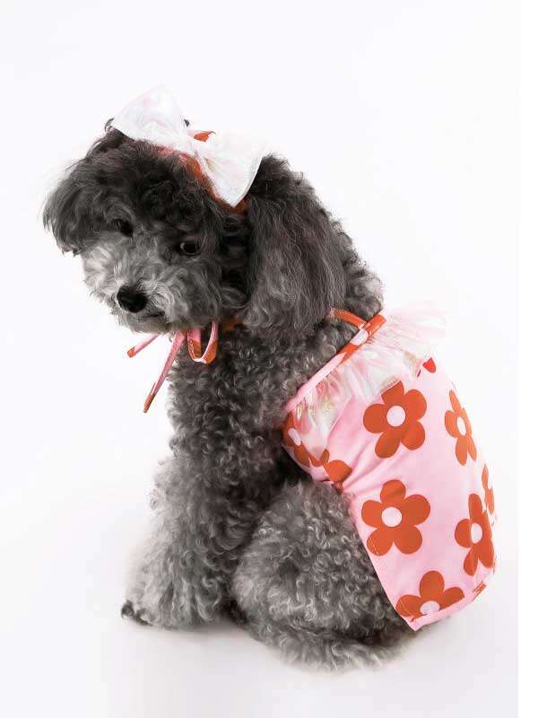 Wholealse Printed swimsuit halter, two-legged swimsuit for cats, pet bikini, teddy dog clothes and hat