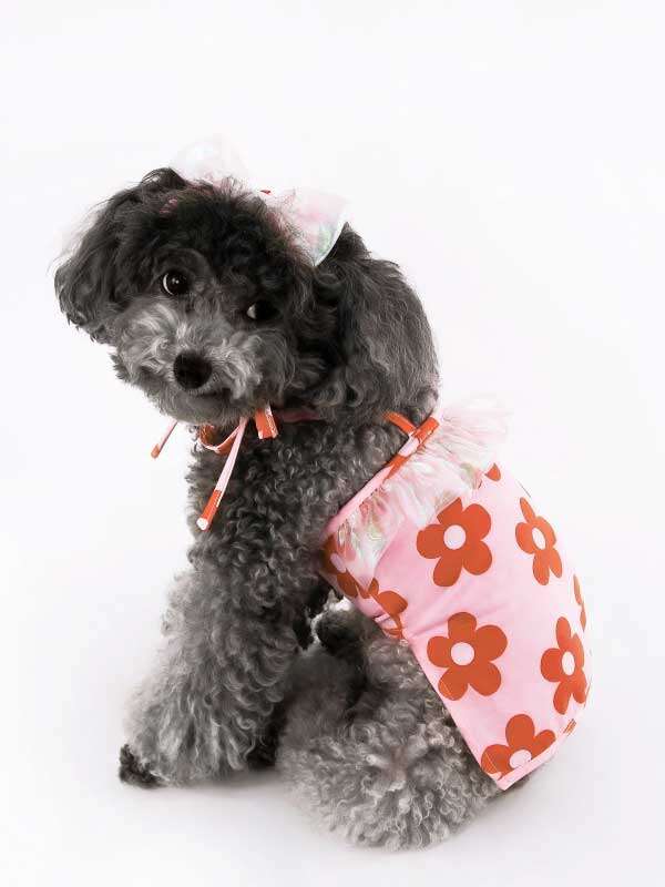 Wholealse Printed swimsuit halter, two-legged swimsuit for cats, pet bikini, teddy dog clothes and hat