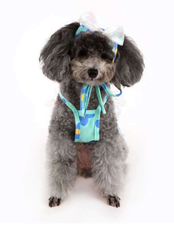 Wholealse Printed swimsuit halter, two-legged swimsuit for cats, pet bikini, teddy dog clothes and hat