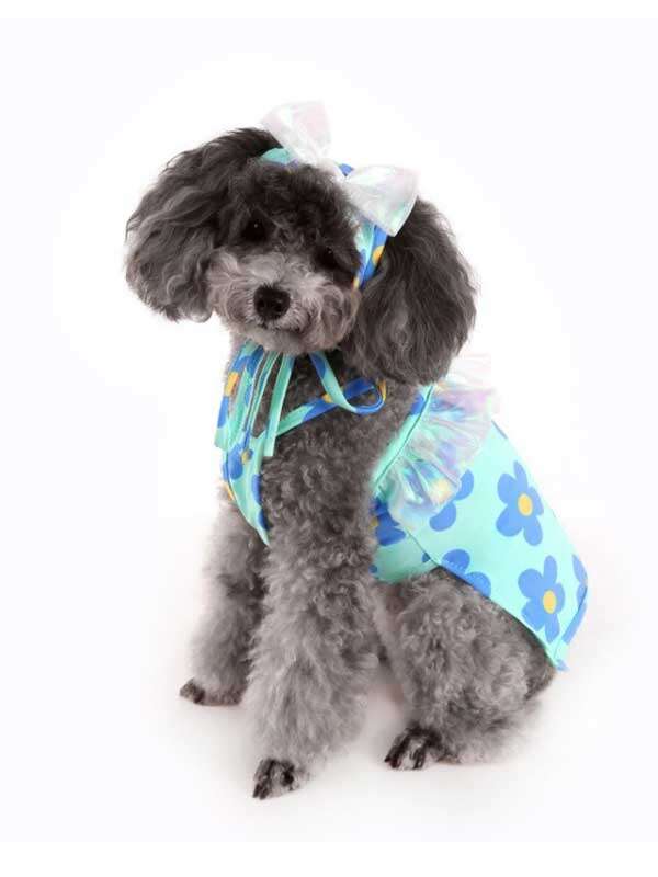 Wholealse Printed swimsuit halter, two-legged swimsuit for cats, pet bikini, teddy dog clothes and hat